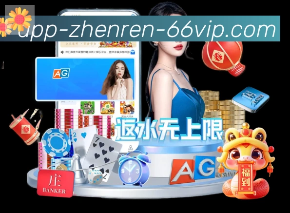 未来规划
